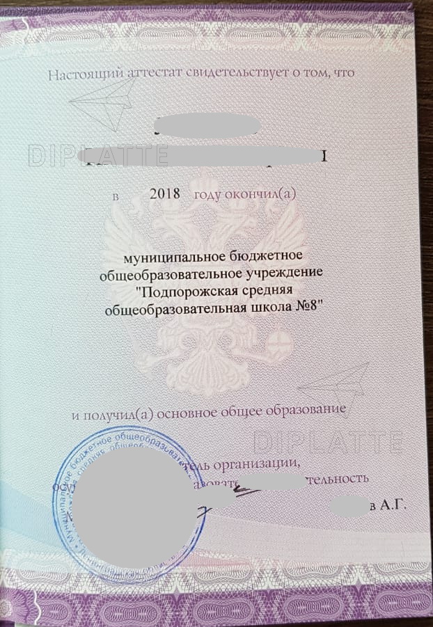 Аттестат за 9 классов СОШ №8 Подпорожье Ленобласть (2018 г.)